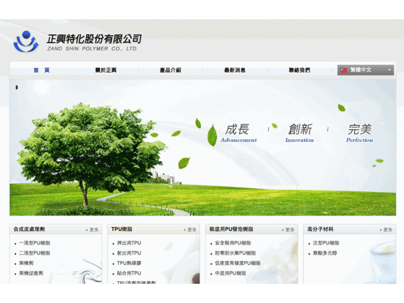 網頁設計|網站設計案例, 正興特化股份有限公司