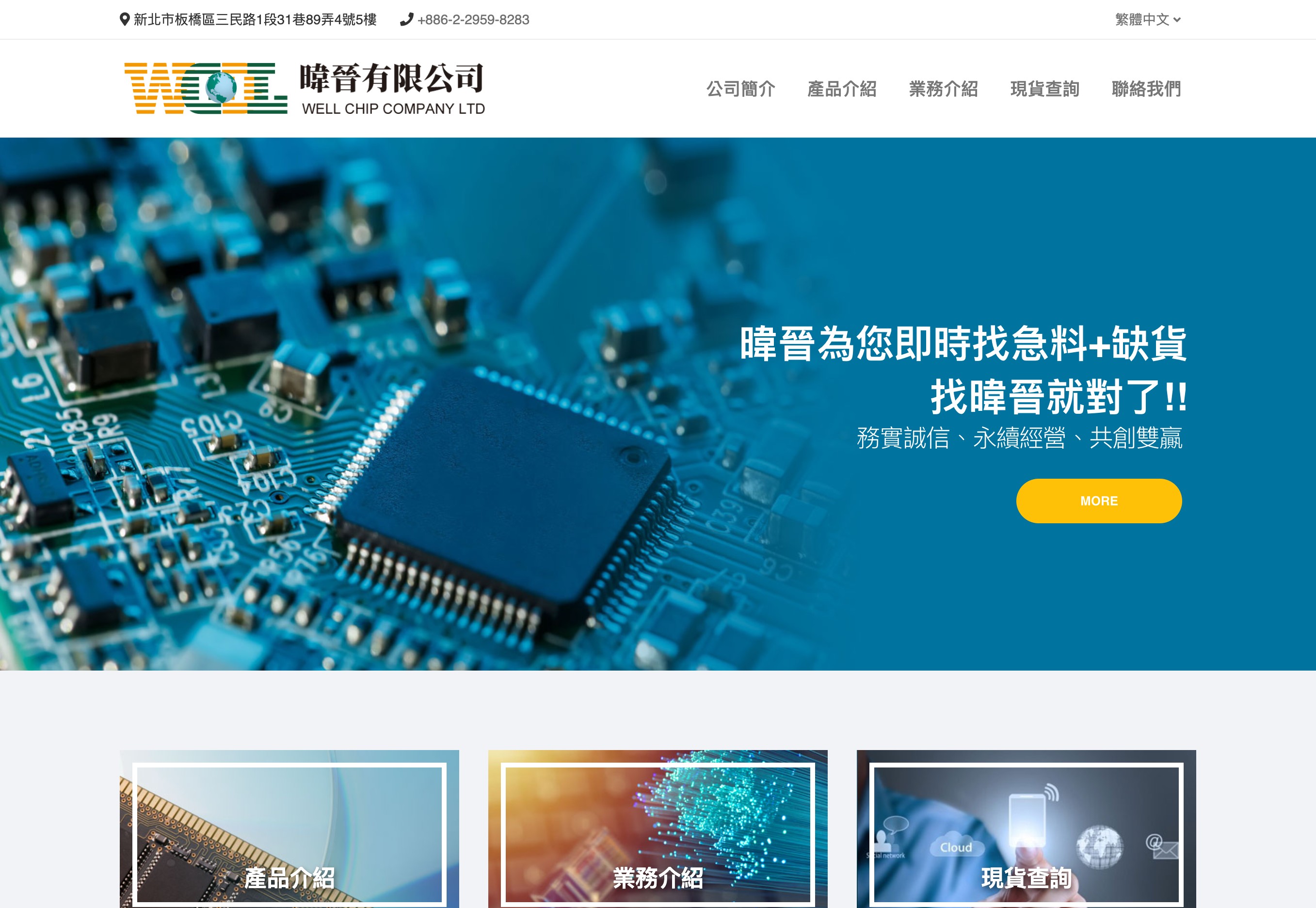 暐晉有限公司 WELL CHIP