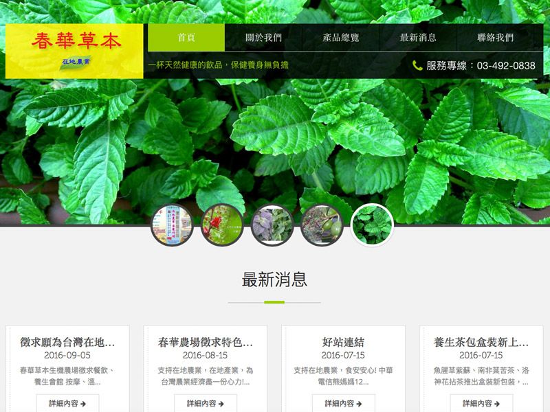 網頁設計|網站設計案例, 春華青草行