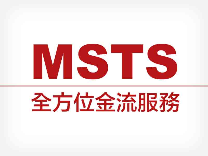 網站設計|網頁設計公司|MSTS全方位金流服務